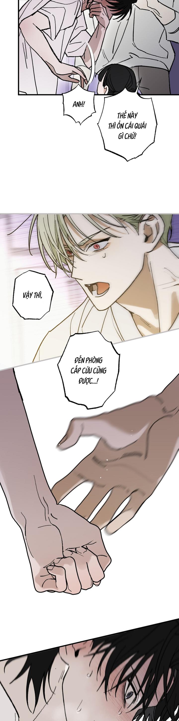 Chứng Nhận Quan Hệ Gia Đình Chapter 11 - Trang 2