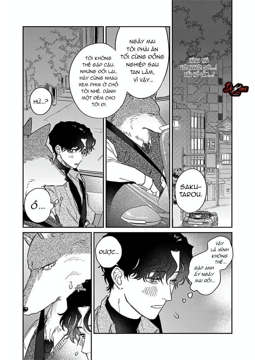 Tình Yêu Mãnh Liệt Của Ngài Sói Chapter 4 - Trang 2