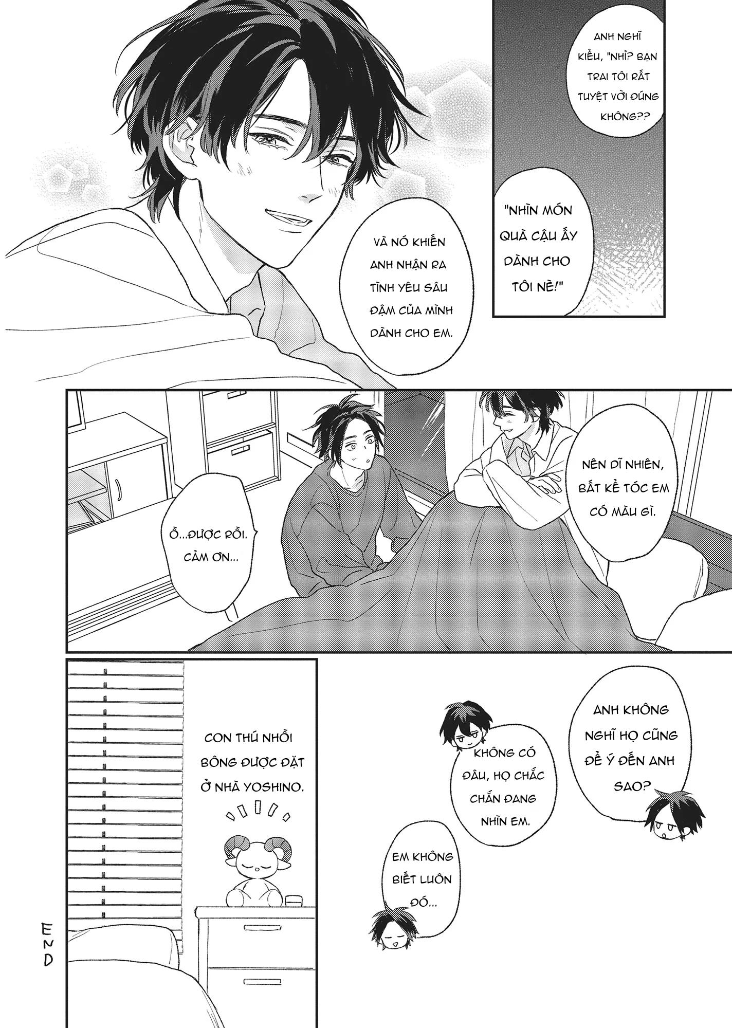 Tôi Đâu Định Yêu Cậu Chapter 11 H - End - Trang 2