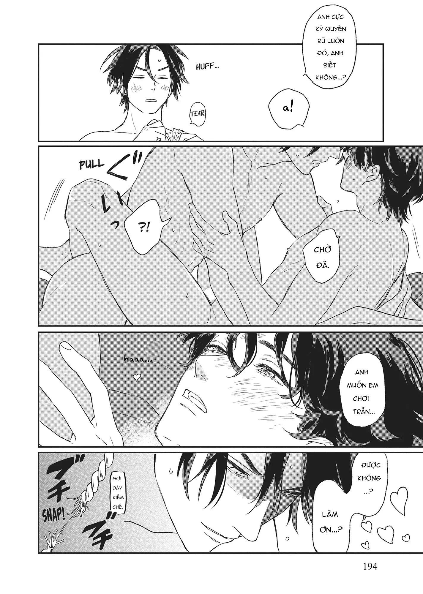 Tôi Đâu Định Yêu Cậu Chapter 11 H - End - Trang 2
