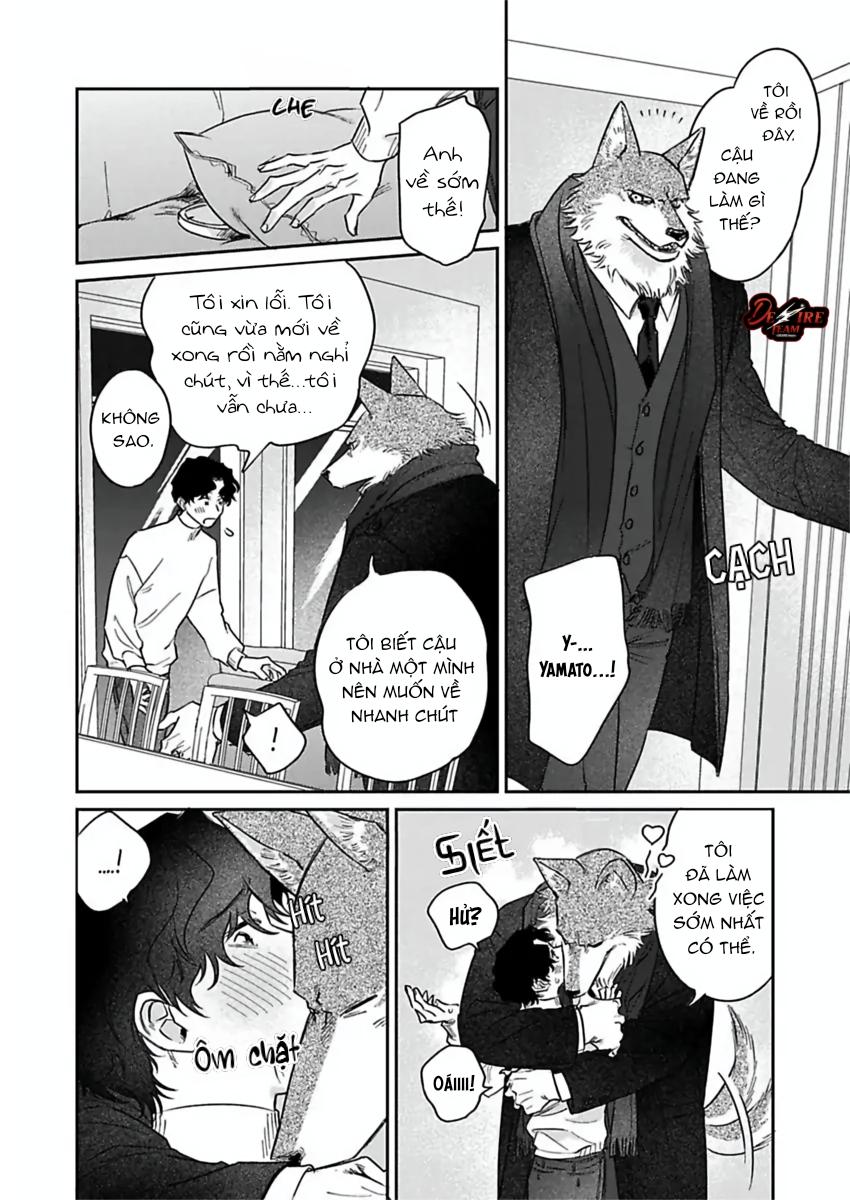 Tình Yêu Mãnh Liệt Của Ngài Sói Chapter 5 - Trang 2