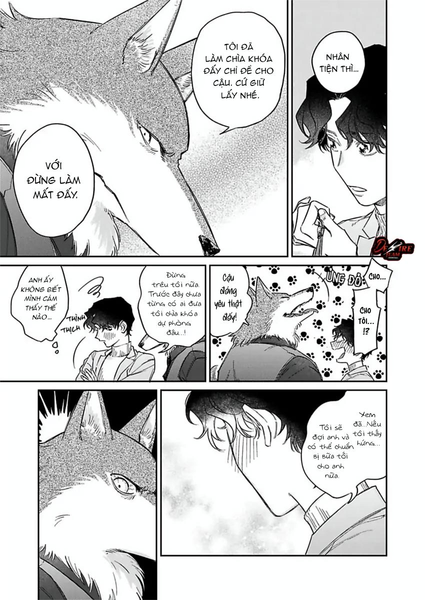 Tình Yêu Mãnh Liệt Của Ngài Sói Chapter 5 - Trang 2