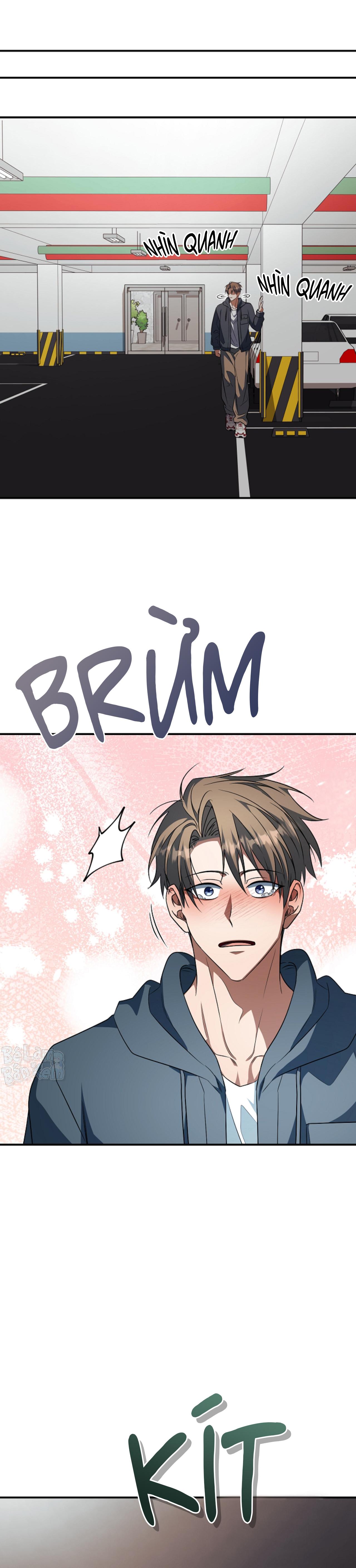 SỰ THẬT TRẦN TRỤI Chapter 35 - Next 