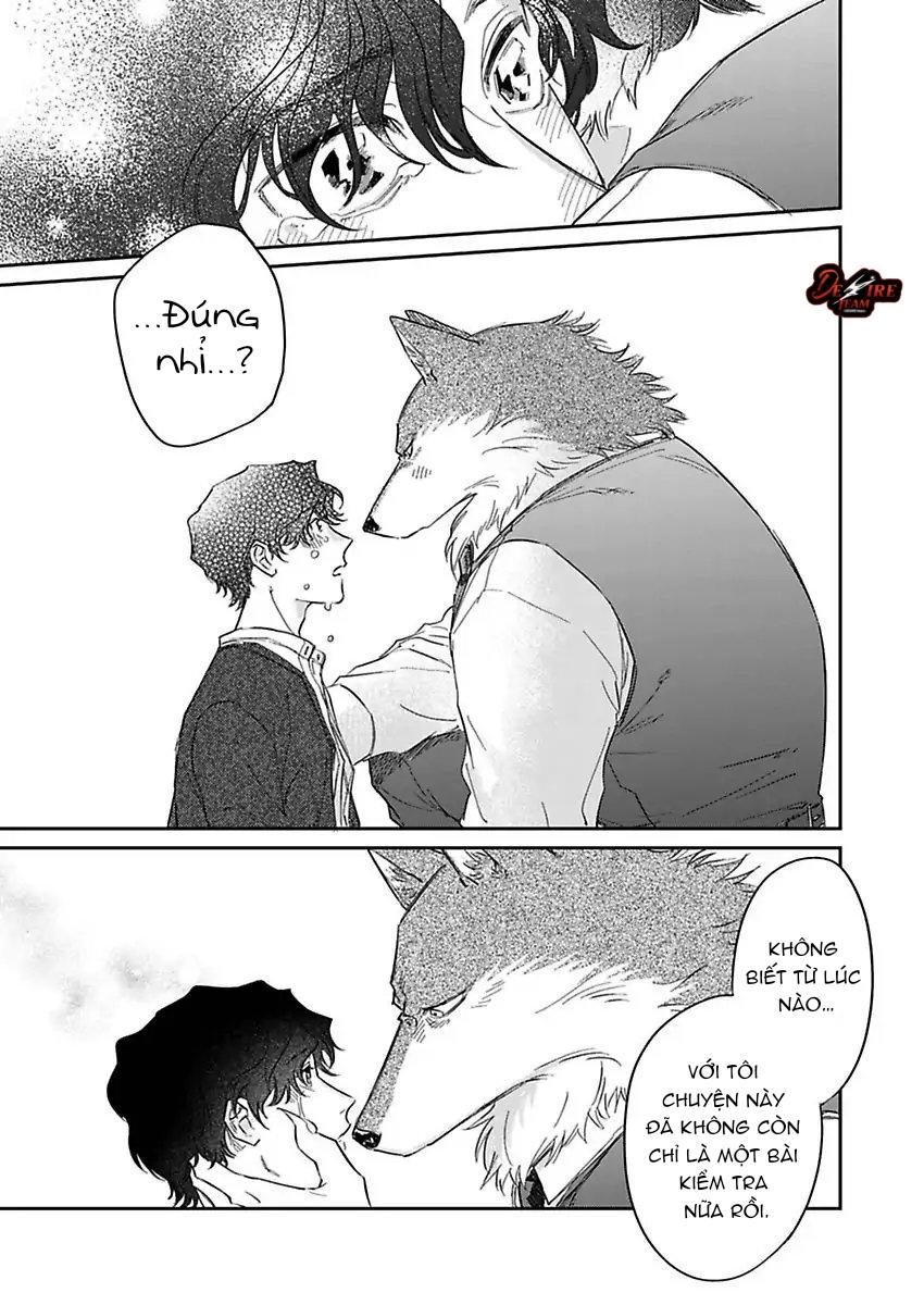 Tình Yêu Mãnh Liệt Của Ngài Sói Chapter 6 - Trang 2