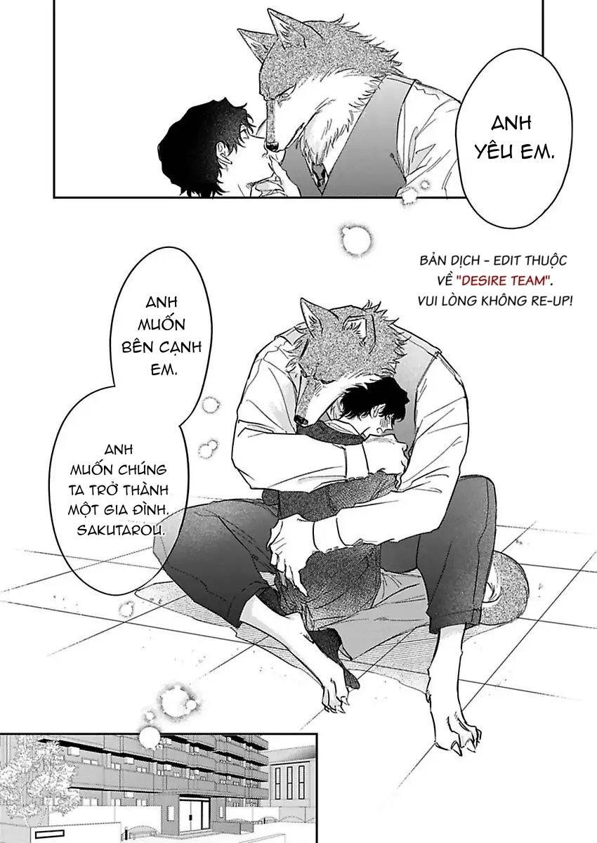 Tình Yêu Mãnh Liệt Của Ngài Sói Chapter 6 - Trang 2
