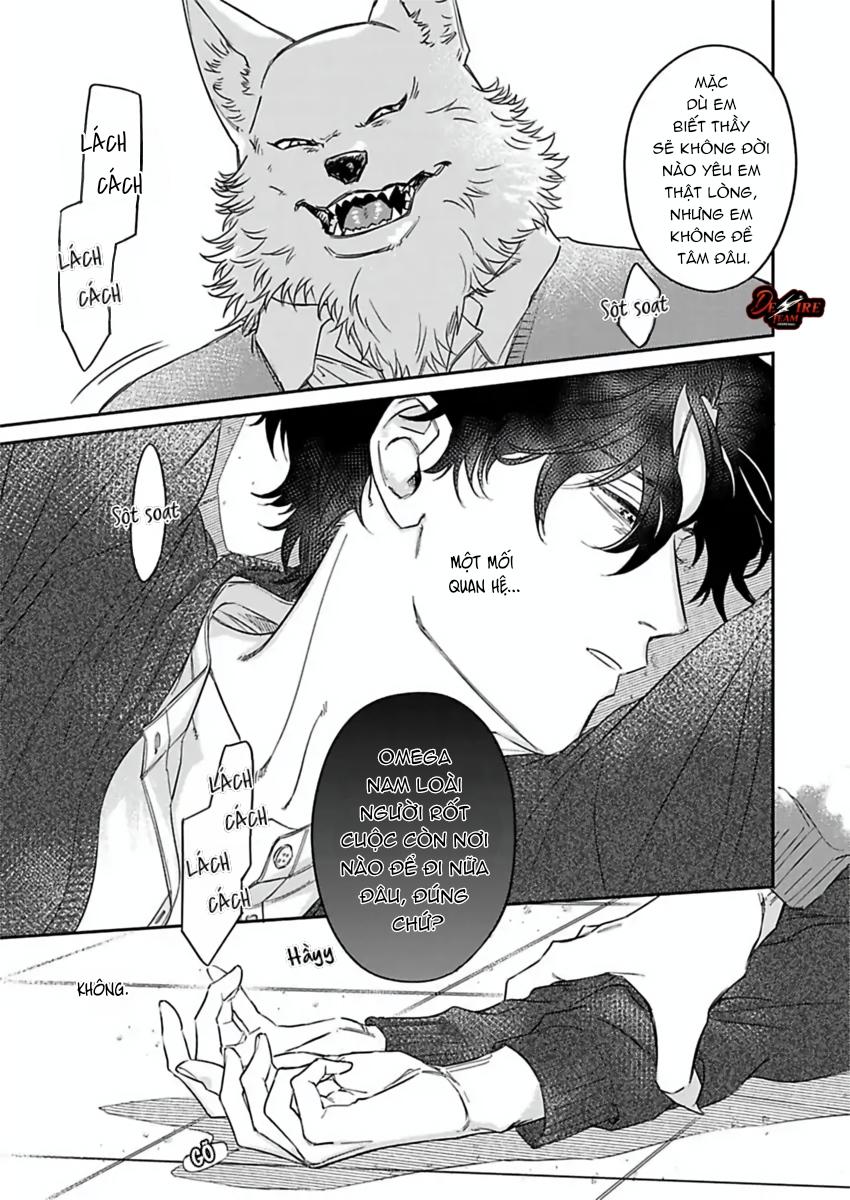 Tình Yêu Mãnh Liệt Của Ngài Sói Chapter 6 - Trang 2