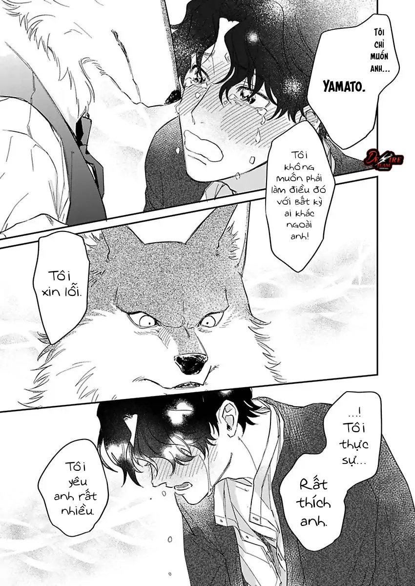 Tình Yêu Mãnh Liệt Của Ngài Sói Chapter 6 - Trang 2