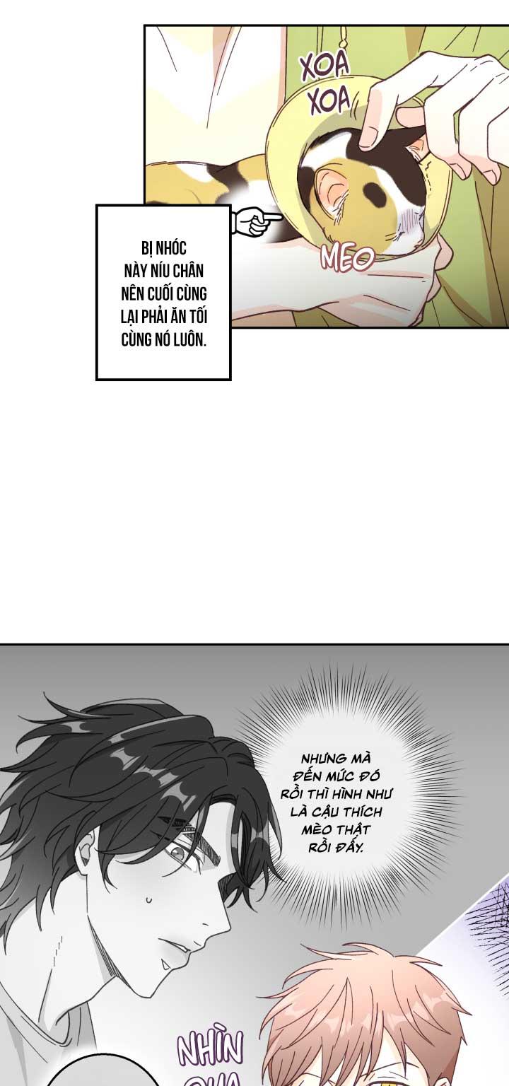 NGƯỜI HÀNG XÓM QUYẾN RŨ CỦA TÔI Chapter 3 - Trang 2