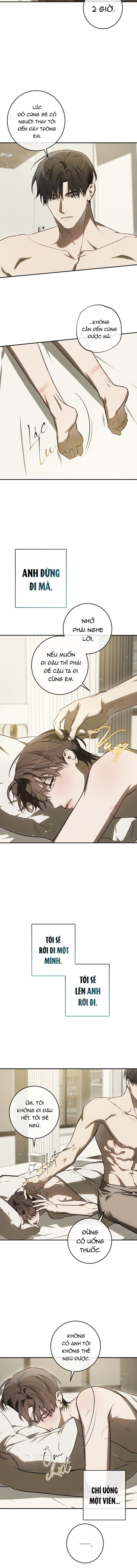 BẢO VẬT Chapter 40 - Trang 2