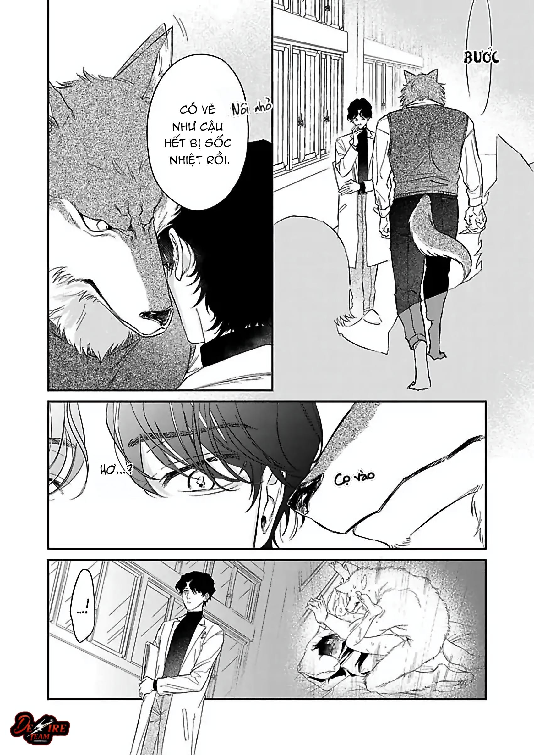 Tình Yêu Mãnh Liệt Của Ngài Sói Chapter 1 - Trang 2