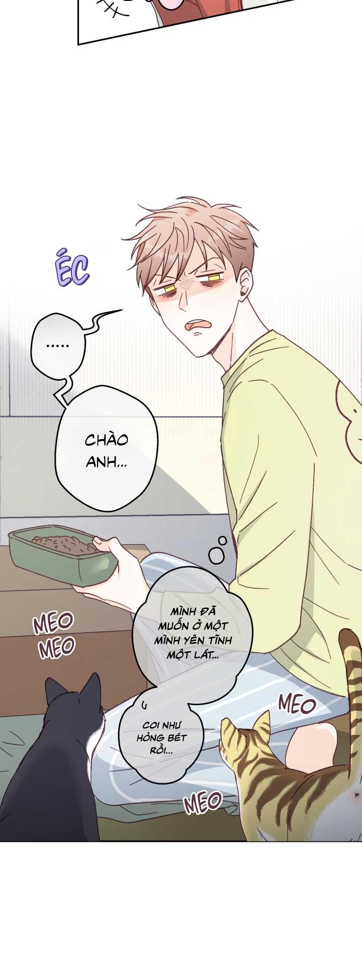 NGƯỜI HÀNG XÓM QUYẾN RŨ CỦA TÔI Chapter 3 - Trang 2