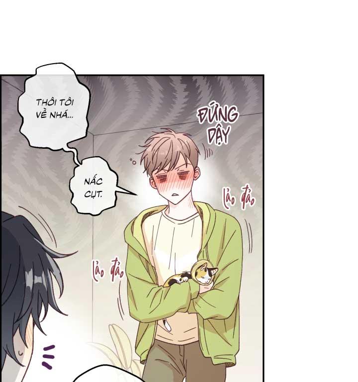 NGƯỜI HÀNG XÓM QUYẾN RŨ CỦA TÔI Chapter 3 - Trang 2