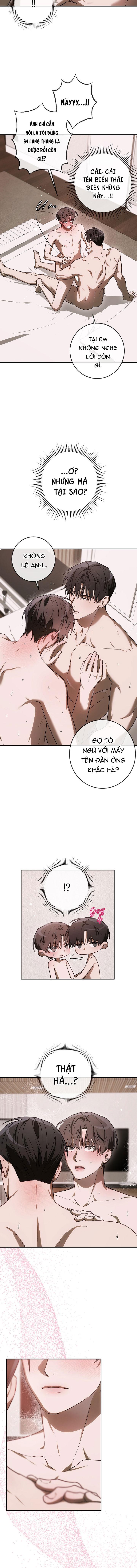 BẢO VẬT Chapter 40 - Trang 2