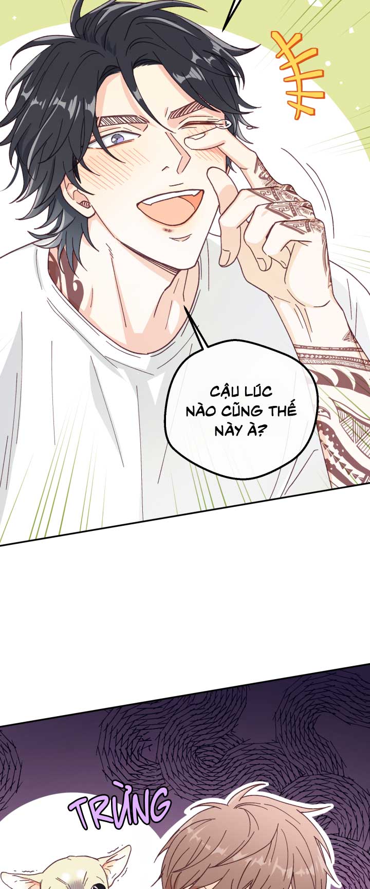 NGƯỜI HÀNG XÓM QUYẾN RŨ CỦA TÔI Chapter 4 - Trang 2