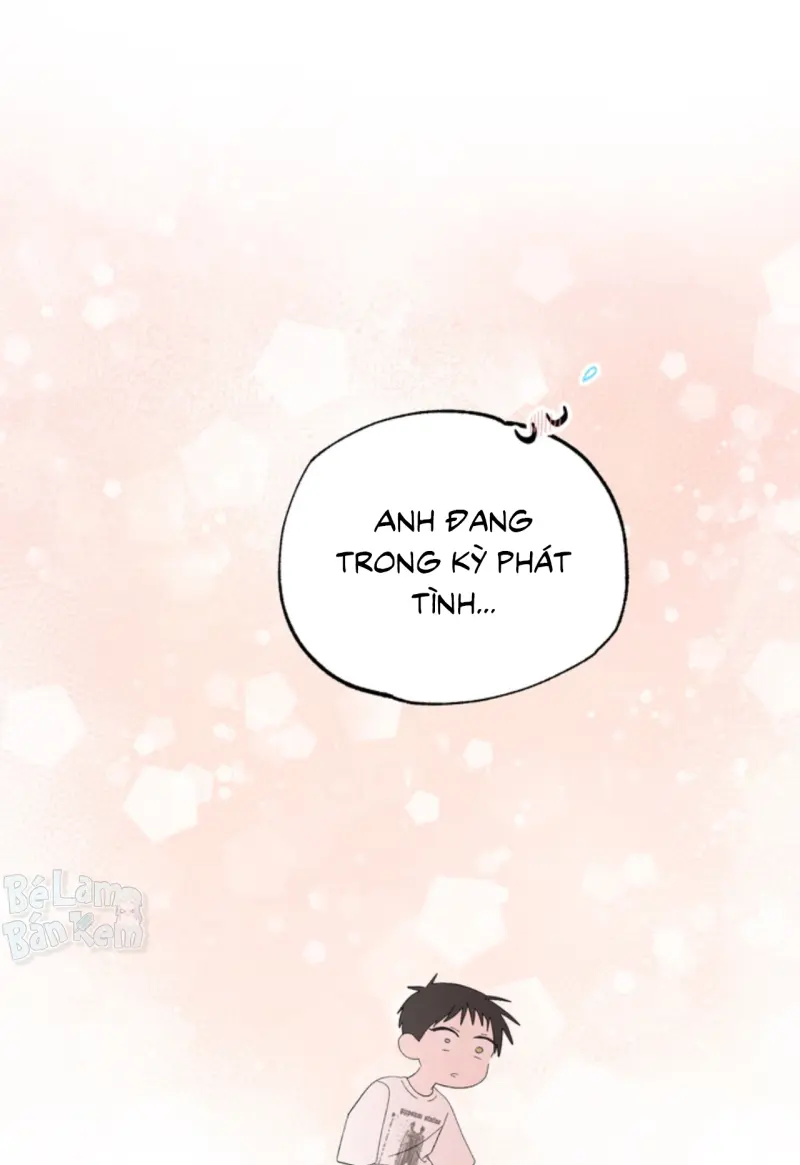 XIN HÃY YÊU THƯƠNG DÙ TÔI LÀ CHUỘT Chapter 9 - Trang 2