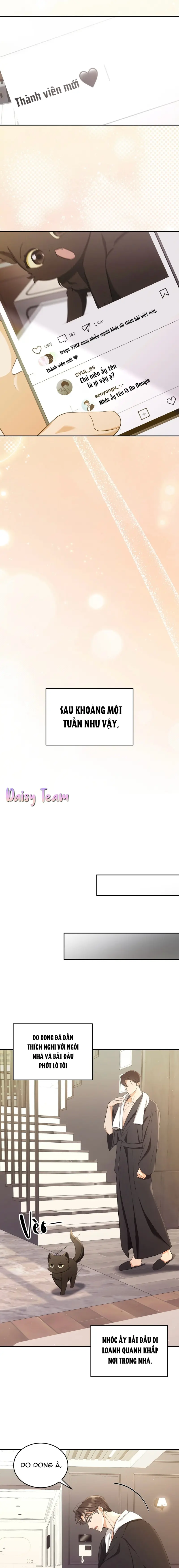 LIỆU PHÁP MÈO Chapter 2 - Trang 2