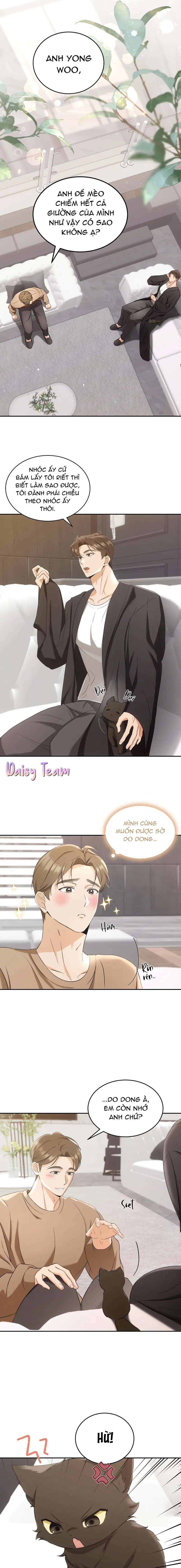 LIỆU PHÁP MÈO Chapter 2 - Trang 2