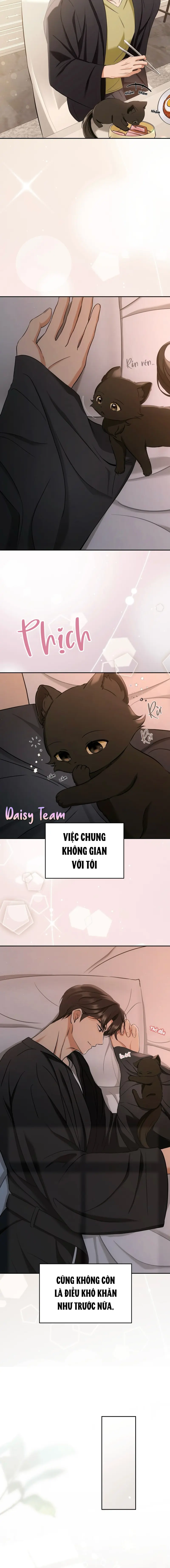 LIỆU PHÁP MÈO Chapter 2 - Trang 2