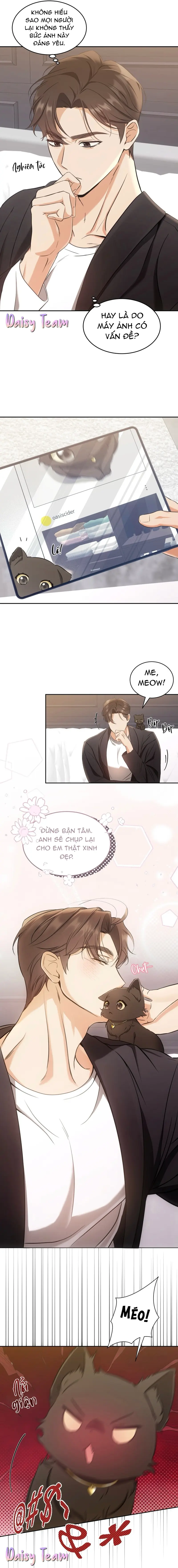 LIỆU PHÁP MÈO Chapter 2 - Trang 2