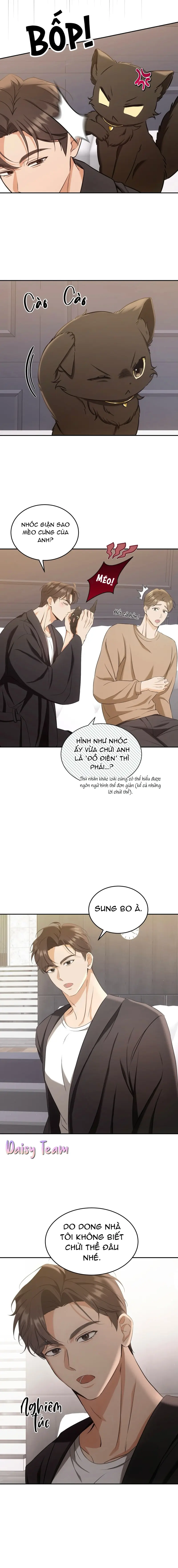 LIỆU PHÁP MÈO Chapter 2 - Trang 2