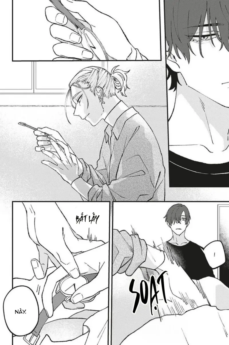 Vết Cắn Và Ánh Huỳnh Thạch Chapter 2 - Trang 2