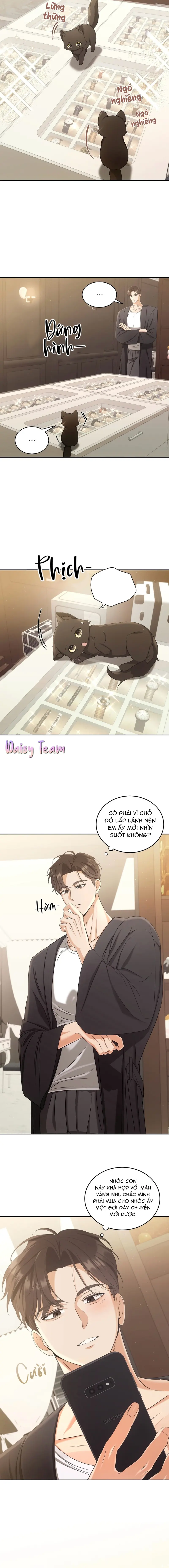 LIỆU PHÁP MÈO Chapter 2 - Trang 2