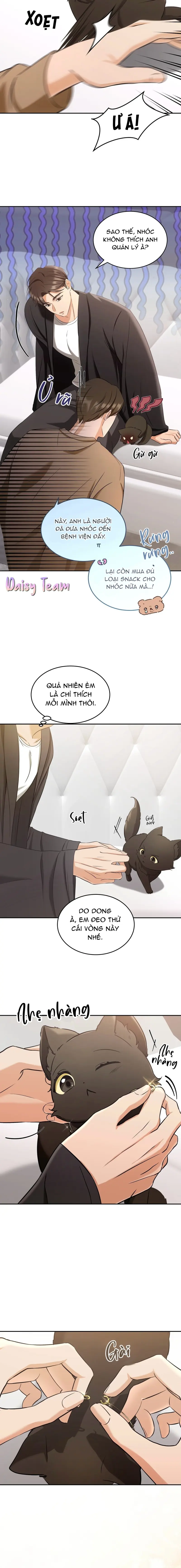LIỆU PHÁP MÈO Chapter 2 - Trang 2