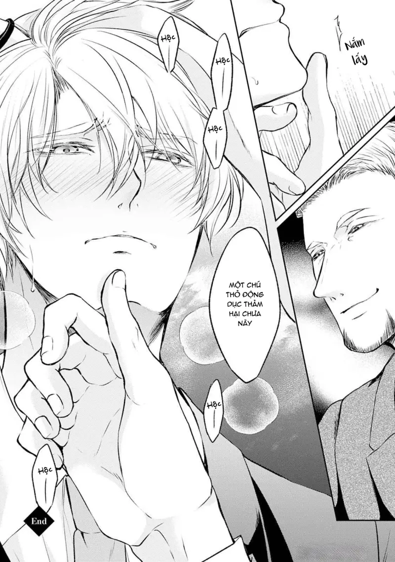 Đã Đến Lúc Cưng Chiều Rồi! Chapter 4 H - Next Chapter 5