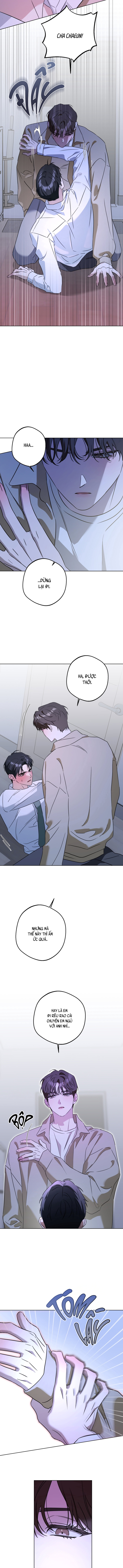 Anh Em Hoà Thuận Chapter 7 H++ - Next Chapter 8 H+