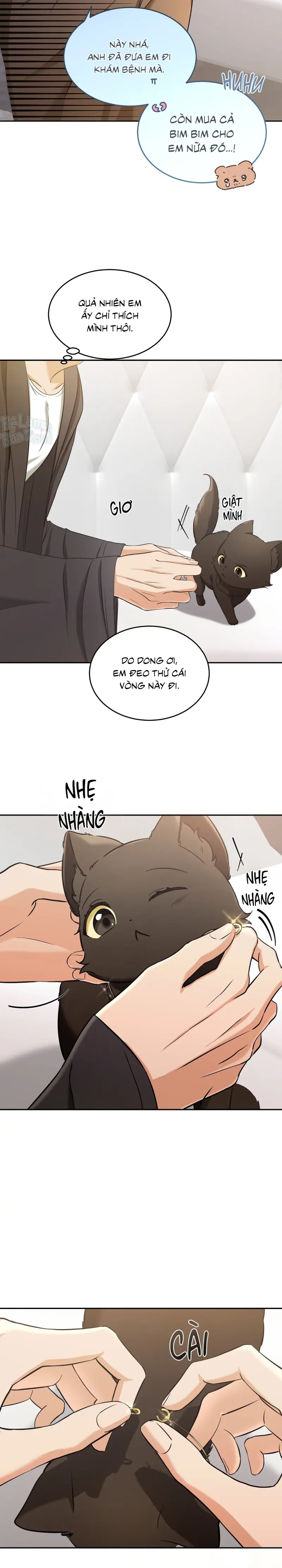 LIỆU PHÁP TRỊ LIỆU MÈO Chapter 2 - Trang 2