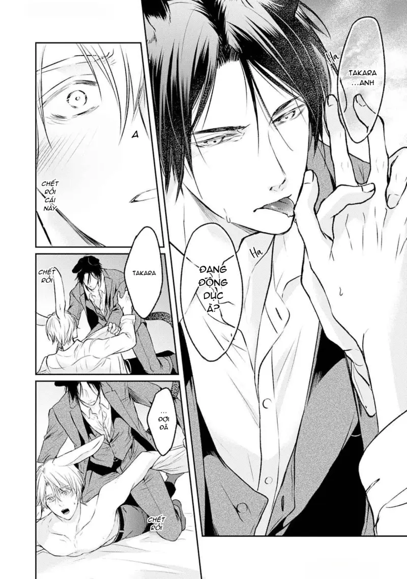Đã Đến Lúc Cưng Chiều Rồi! Chapter 4 H - Next Chapter 5