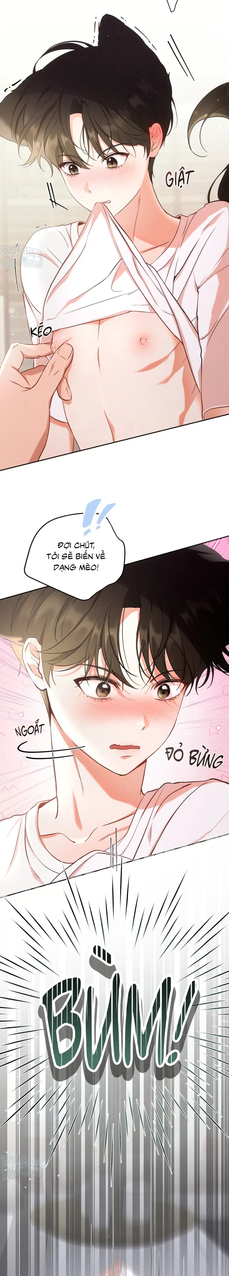 LIỆU PHÁP TRỊ LIỆU MÈO Chapter 1 - Trang 2