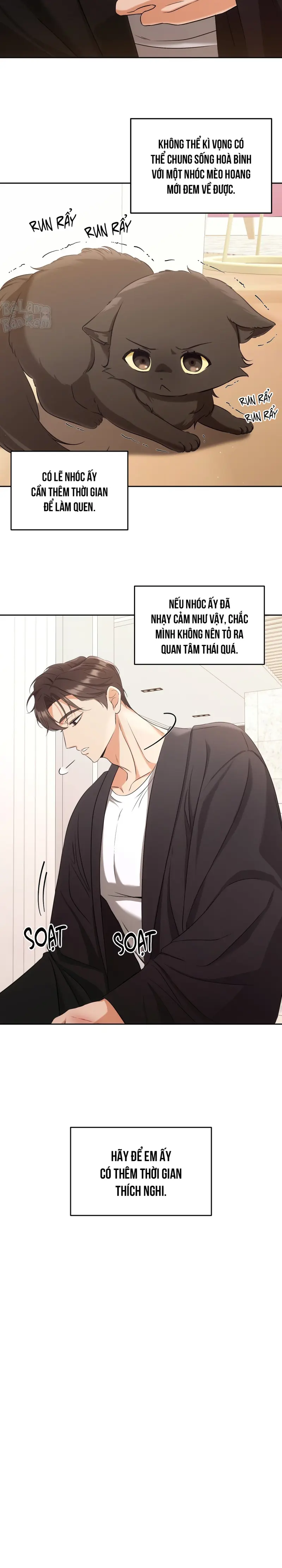 LIỆU PHÁP TRỊ LIỆU MÈO Chapter 2 - Trang 2
