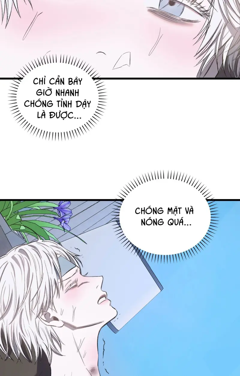 (ABO) VẬT TẾ THẦN Chapter 14 - Trang 2