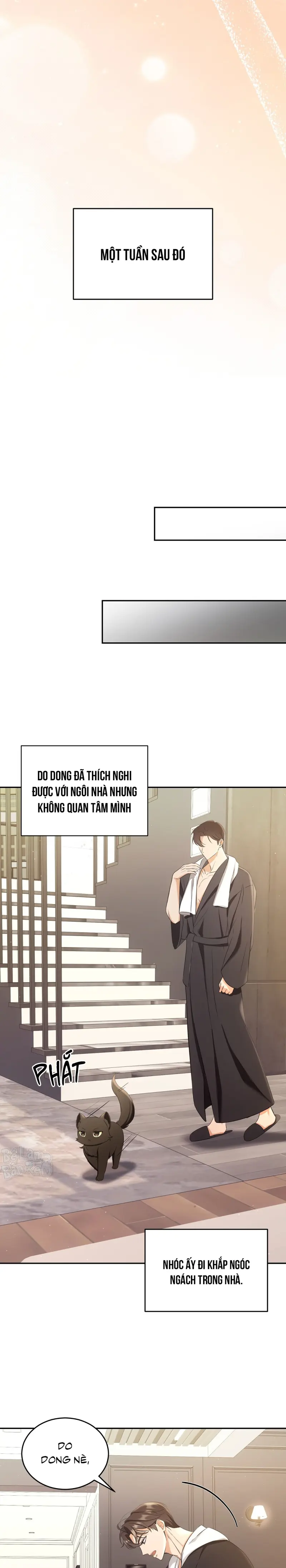 LIỆU PHÁP TRỊ LIỆU MÈO Chapter 2 - Trang 2