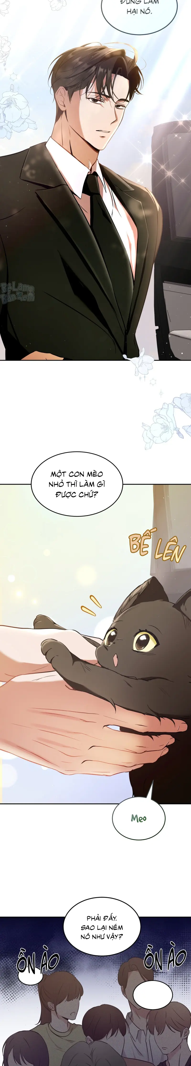 LIỆU PHÁP TRỊ LIỆU MÈO Chapter 1 - Trang 2