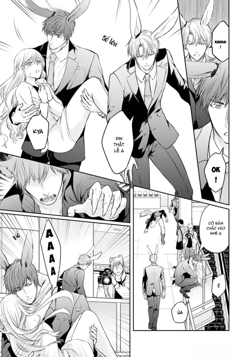 Đã Đến Lúc Cưng Chiều Rồi! Chapter 4 H - Next Chapter 5