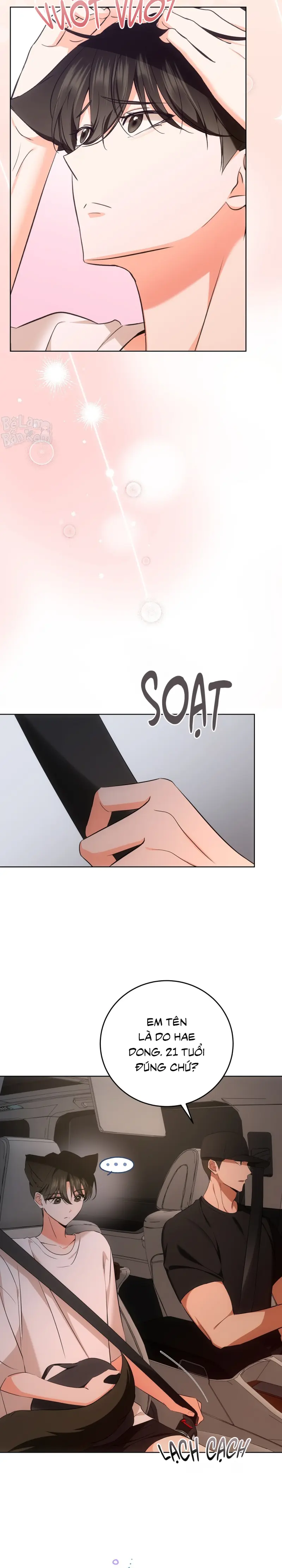LIỆU PHÁP TRỊ LIỆU MÈO Chapter 5 - Trang 2