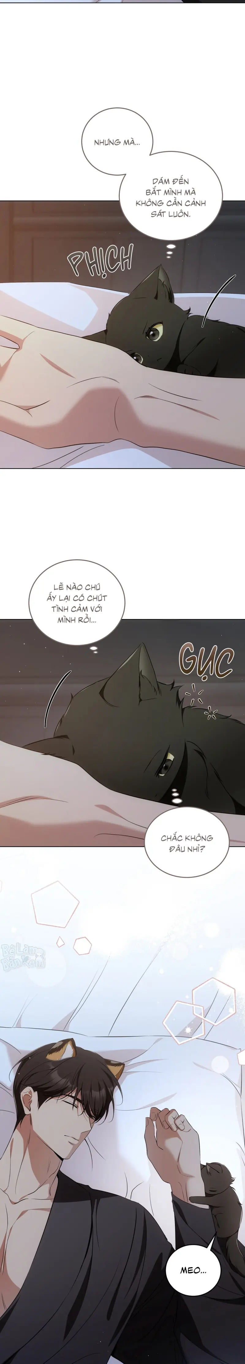 LIỆU PHÁP TRỊ LIỆU MÈO Chapter 7 - Trang 2
