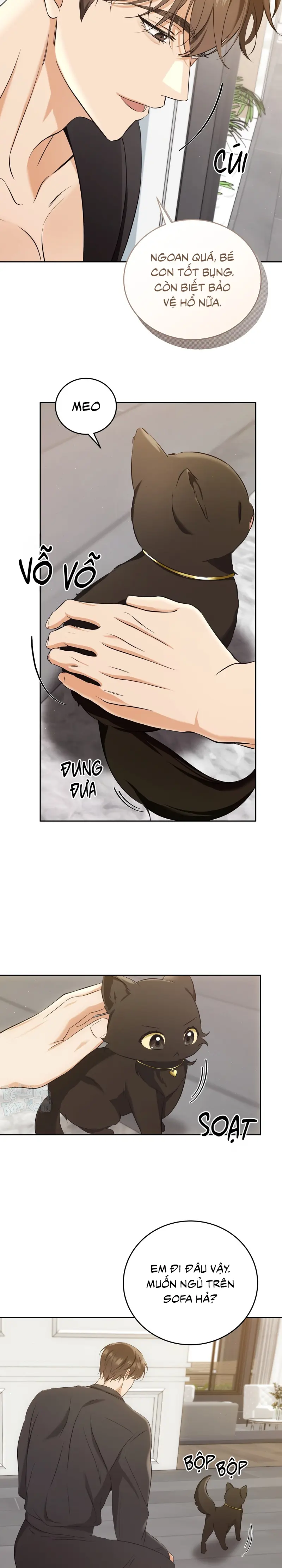 LIỆU PHÁP TRỊ LIỆU MÈO Chapter 3 - Trang 2