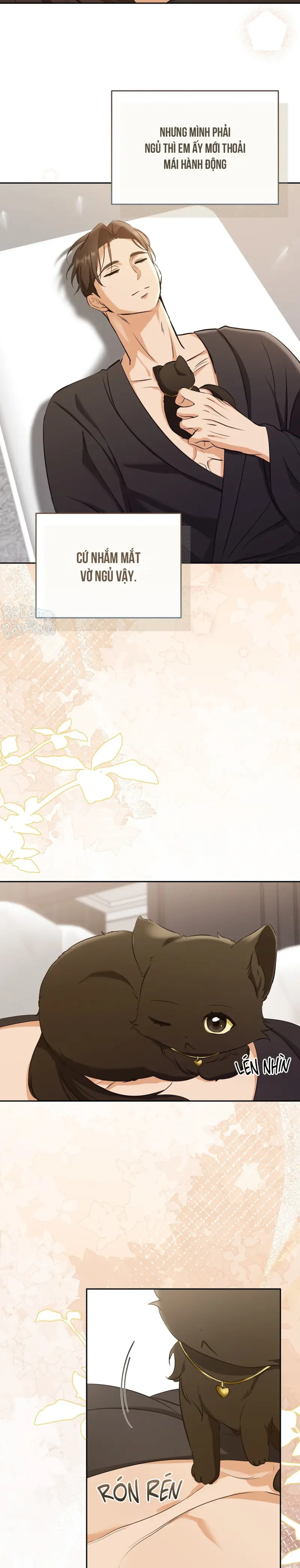 LIỆU PHÁP TRỊ LIỆU MÈO Chapter 3 - Trang 2