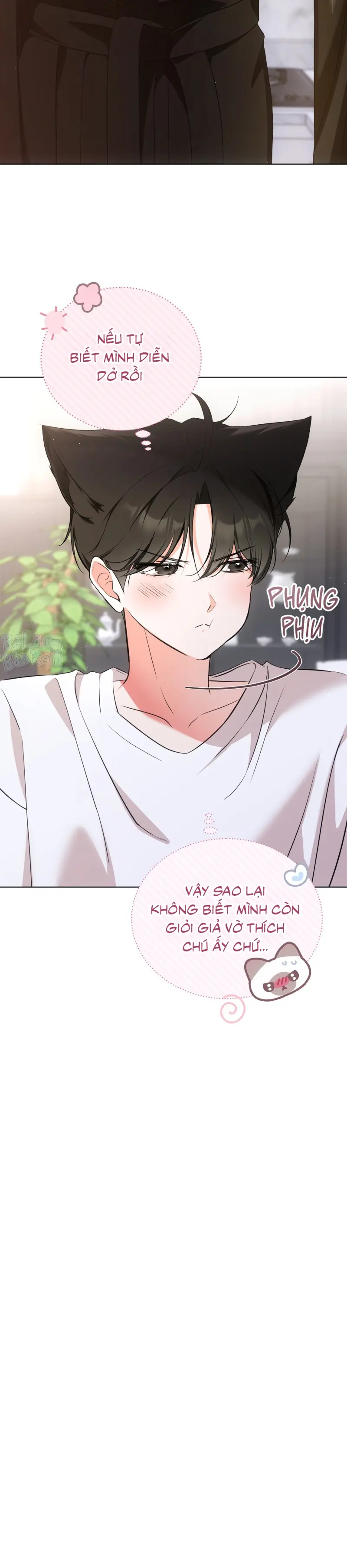 LIỆU PHÁP TRỊ LIỆU MÈO Chapter 7 - Trang 2
