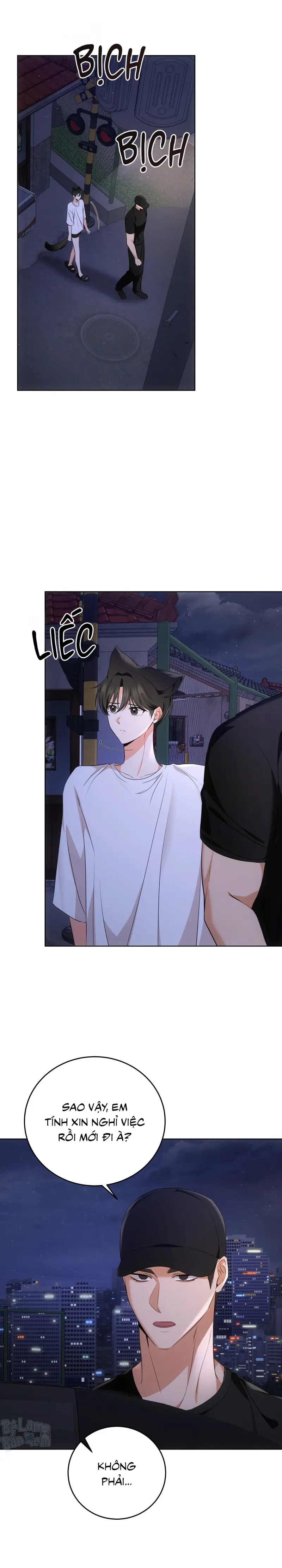 LIỆU PHÁP TRỊ LIỆU MÈO Chapter 5 - Trang 2