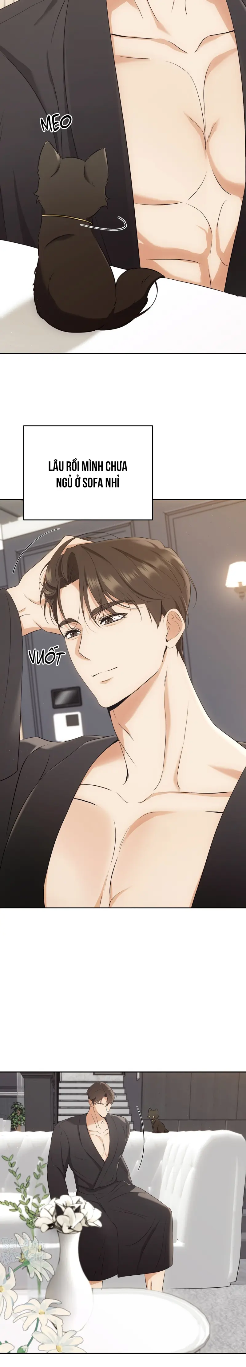 LIỆU PHÁP TRỊ LIỆU MÈO Chapter 3 - Trang 2