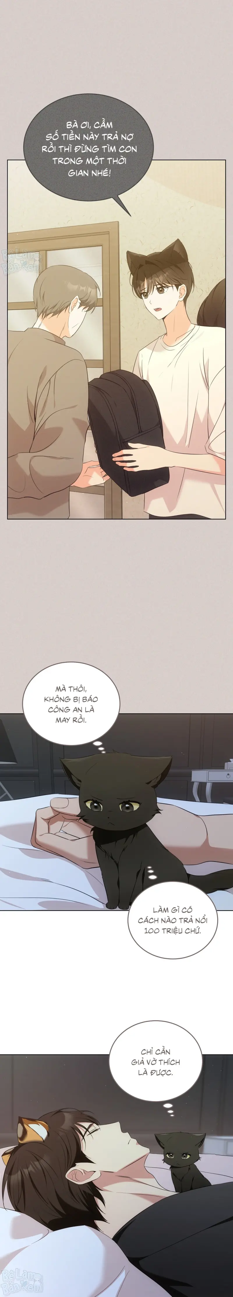 LIỆU PHÁP TRỊ LIỆU MÈO Chapter 7 - Trang 2