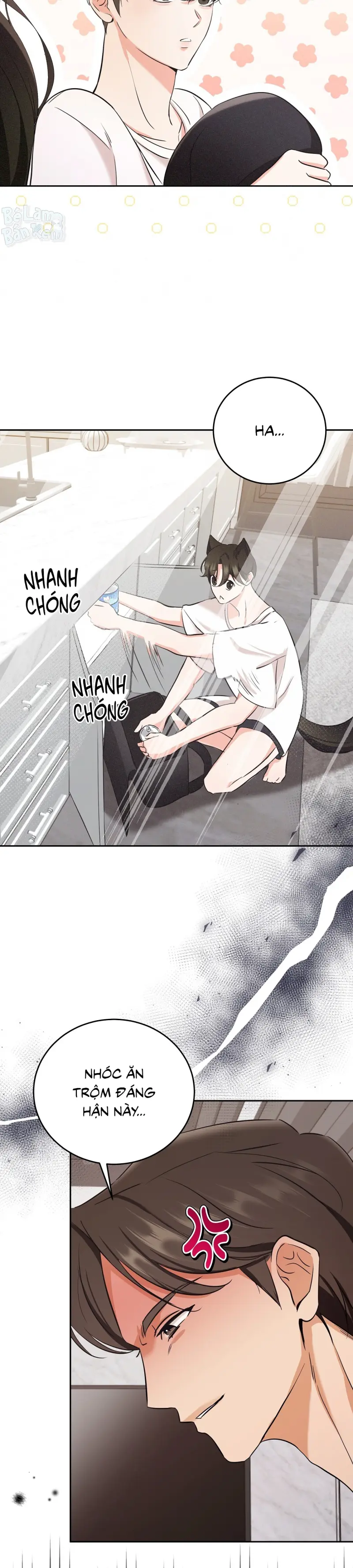 LIỆU PHÁP TRỊ LIỆU MÈO Chapter 3 - Trang 2