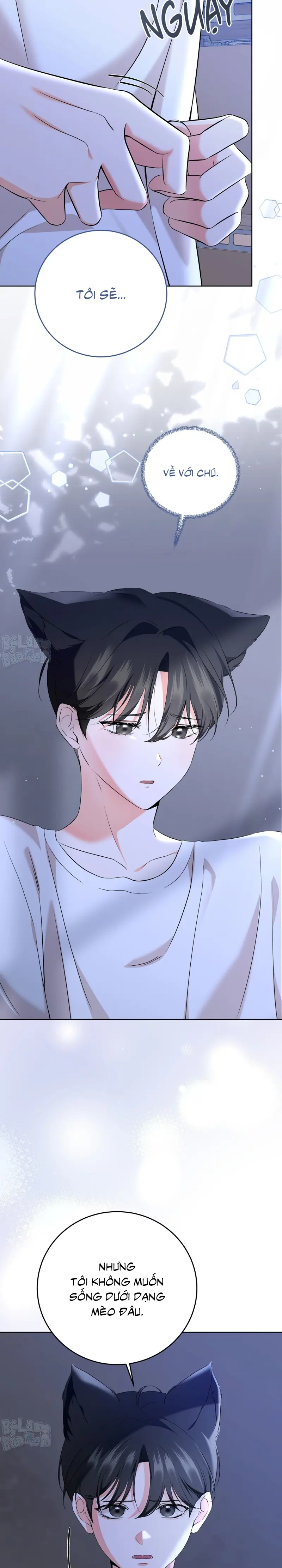 LIỆU PHÁP TRỊ LIỆU MÈO Chapter 5 - Trang 2
