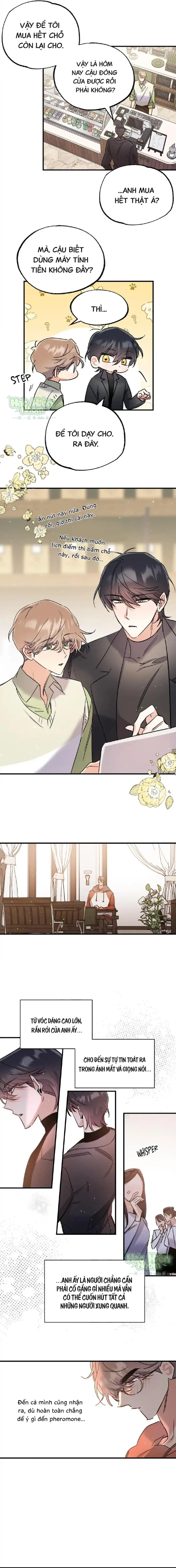 Vũ Trụ Nơi Thiên Thạch Rơi Chapter 10 Hachiennhom - Trang 2