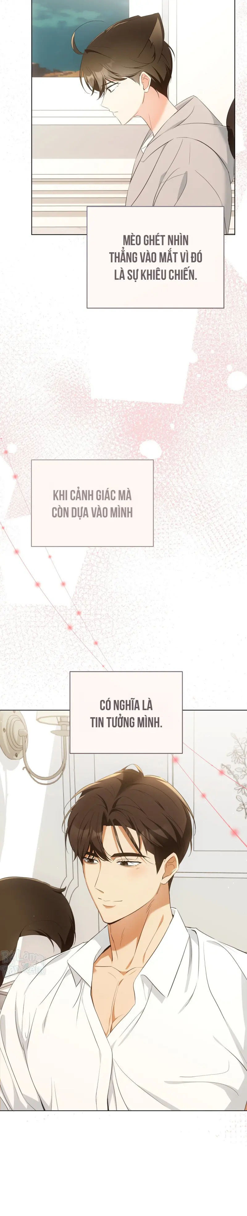 LIỆU PHÁP TRỊ LIỆU MÈO Chapter 9 - Trang 2