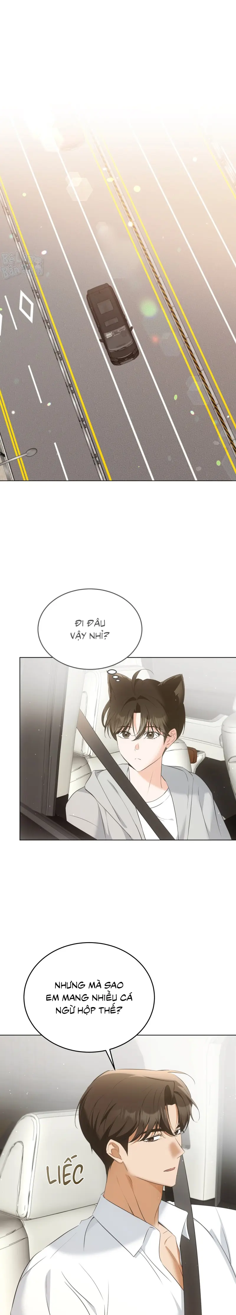 LIỆU PHÁP TRỊ LIỆU MÈO Chapter 9 - Trang 2